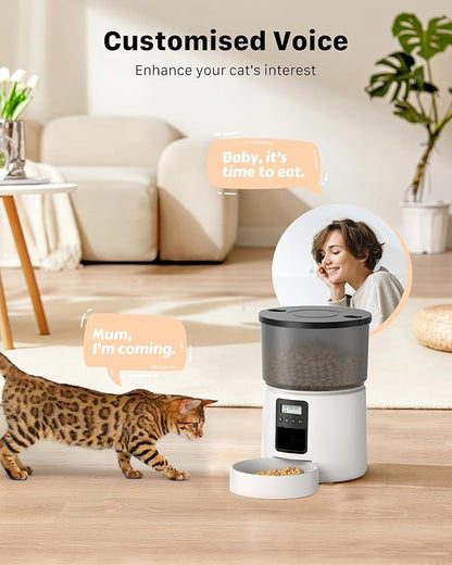 BEMOONY Futterautomat Katze, Katzenfutter Automat mit Programmierbarem Timer, 3L(Weiß))